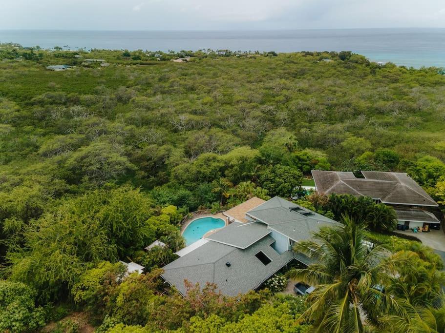 The Pohaku Studio At The Koi House Kailua-Kona Exteriér fotografie